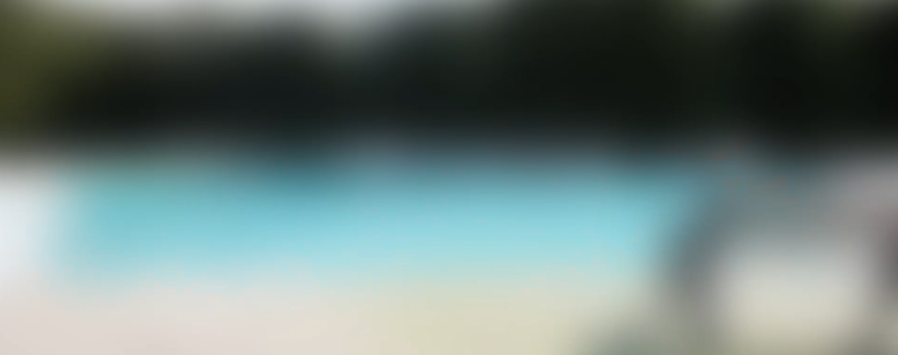 Vision Impairment Simulation